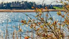 Piecki, ścieżka edukacyjna wokół stawu - zdjęcie 65