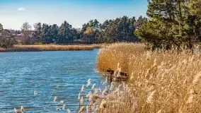 Piecki, ścieżka edukacyjna wokół stawu - zdjęcie 56