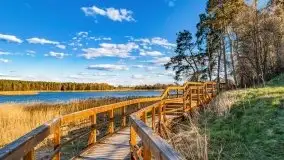 Piecki, ścieżka edukacyjna wokół stawu - zdjęcie 59