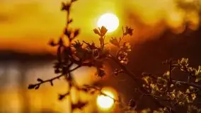 Zachód słońca nad jeziorem Wojnowo - zdjęcie 22