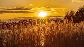 Zachód słońca nad jeziorem Wojnowo - zdjęcie 35