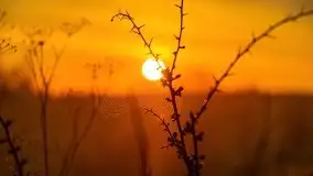 Majowy wschód słońca nad jeziorem Wojnowo - zdjęcie 34