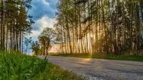 Majowy wieczór z mazurską przyrodą - zdjęcie 16