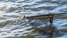 Fotorelacja z charytatywnych zawodów wędkarskich - zdjęcie 114