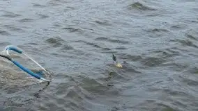 Fotorelacja z charytatywnych zawodów wędkarskich - zdjęcie 108