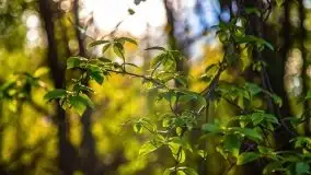 Wiosenne widoki z okolic Sztynortu, maj 2021 - zdjęcie 20