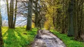 Wiosenne widoki z okolic Sztynortu, maj 2021 - zdjęcie 31