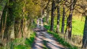 Wiosenne widoki z okolic Sztynortu, maj 2021 - zdjęcie 49