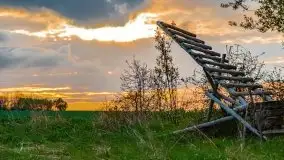 Wiosenne widoki z okolic Sztynortu, maj 2021 - zdjęcie 38