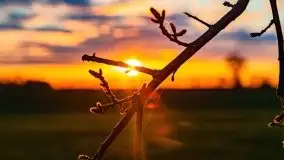 Wiosenne widoki z okolic Sztynortu, maj 2021 - zdjęcie 39