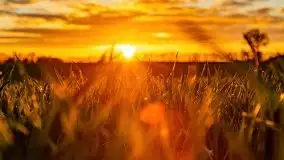 Wiosenne widoki z okolic Sztynortu, maj 2021 - zdjęcie 53