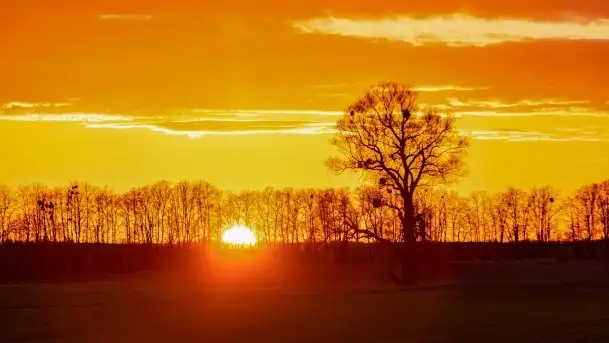 Wiosenne widoki z okolic Sztynortu, maj 2021