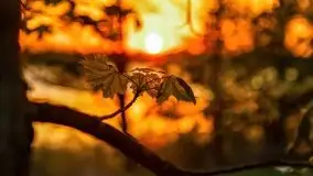 Majowy zachód słońca w porcie Trygort - zdjęcie 32