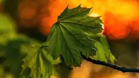 Majowy zachód słońca w porcie Trygort - zdjęcie 25