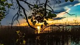 Zachód słońca nad jeziorem Święcajty, maj 2021 - zdjęcie 9