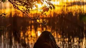 Zachód słońca nad jeziorem Święcajty, maj 2021 - zdjęcie 21