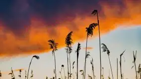 Zachód słońca nad jeziorem Święcajty, maj 2021 - zdjęcie 39