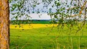 Wiosna na całego na i piękne okoliczności przyrody - zdjęcie 21