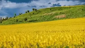 Wiosna na całego na i piękne okoliczności przyrody - zdjęcie 15