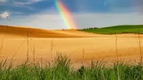 Wiosna na całego na i piękne okoliczności przyrody - zdjęcie 13