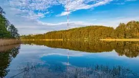 Mazur nie tylko szumem jeziora kuszą... zobaczcie wiosenną łąkę - zdjęcie 2