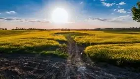 Mazurskie złote, piękne, rzepakowe pola - zdjęcie 20