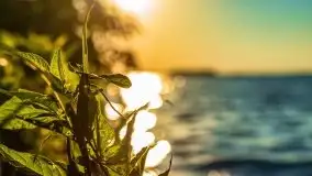 Zachód słońca nad jeziorem Dargin, Poganty - zdjęcie 27