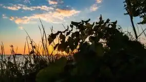 Zachód słońca nad jeziorem Dargin, Poganty - zdjęcie 42