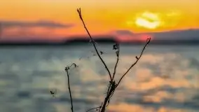 Zachód słońca nad jeziorem Dargin - zdjęcie 24