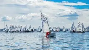 Regaty o Puchar Trzech Ryb w klasie Optimist - fotorelacja - zdjęcie 29