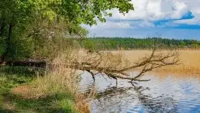 Podsumowanie wiosny 2021, zdjęcia z wielu miejsc - zdjęcie 63