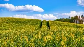 Podsumowanie wiosny 2021, zdjęcia z wielu miejsc - zdjęcie 84