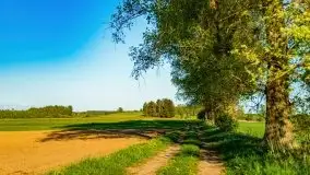 Podsumowanie wiosny 2021, zdjęcia z wielu miejsc - zdjęcie 56