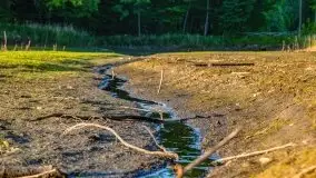 Podsumowanie wiosny 2021, zdjęcia z wielu miejsc - zdjęcie 26