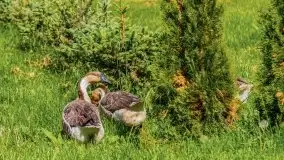 Podsumowanie wiosny 2021, zdjęcia z wielu miejsc - zdjęcie 97