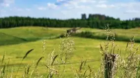 Podsumowanie wiosny 2021, zdjęcia z wielu miejsc - zdjęcie 129