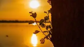 Zachód słońca nad jeziorem Mamry, czerwiec 2021 - zdjęcie 13