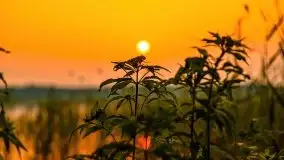 Zachód słońca nad jeziorem Kirsajty - zdjęcie 30