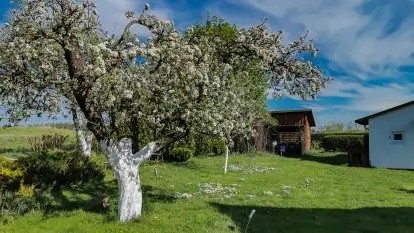 Siedlisko u Zofii - Ryn - zdjęcie 4