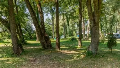 Camping Bystry - zdjęcie 23