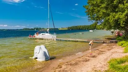 Pole namiotowe Zwierzyniecki Róg - zdjęcie 6