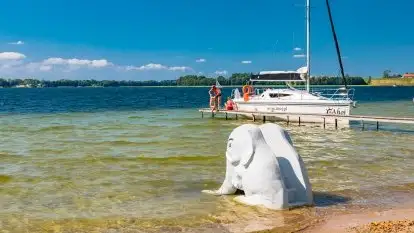 Pole namiotowe Zwierzyniecki Róg - zdjęcie 15