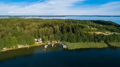 Pole namiotowe Zwierzyniecki Róg - zdjęcie 21