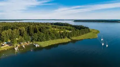 Pole namiotowe Zwierzyniecki Róg - zdjęcie 1