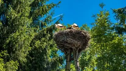 Stanica Wodna Kietlice - zdjęcie 12