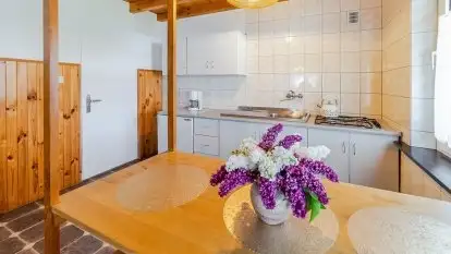 Pensjonacik Krystyna, Domek Rodzinny - zdjęcie 39