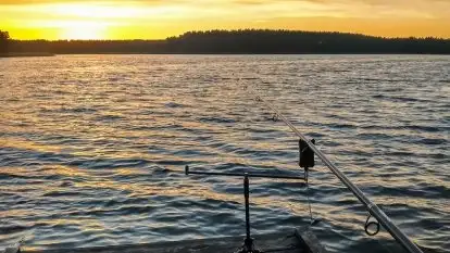 Dom Pod Lasem - zdjęcie 30