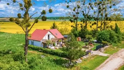 Domek wśród pól - zdjęcie 6