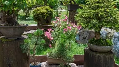 Nowa galeria - zdjęcie 57