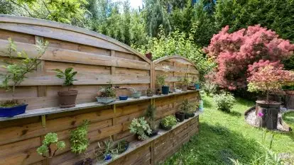 Nowa galeria - zdjęcie 64